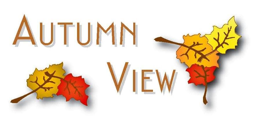 Autumn View